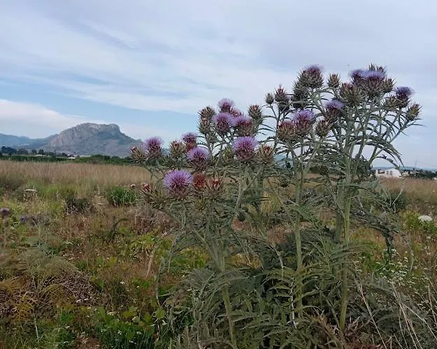 Apartment,two Terraces,parking & Wifi